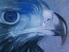 Gabriel Preboy Golden Eagle