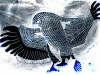 Jason Cantu Night Bird