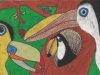 Kaylin Mangold Toucan Paradise