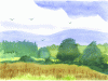 blue-mtn