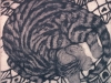 Gayle Fitzpatrick Cat