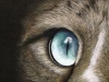 naomieastment_midnightgaze