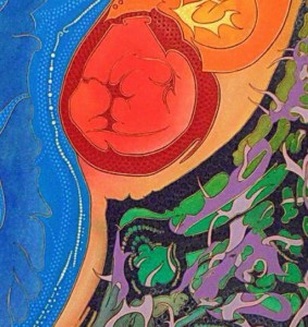 foetal aspienaut