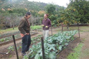Charlie's Organic Self-Sustainable Farm