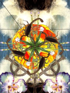 James McCue "Golden Ratio"