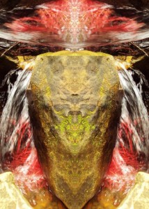 James McCue "Shaman"