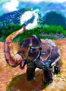 Ori Bengal "Elephant"