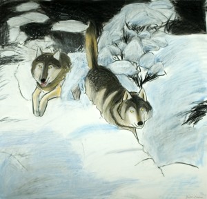 Justin Canha "Wolves"