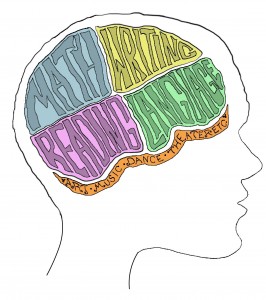 brain1 sketch_normal_illustrate_with_neck