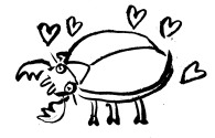 Insect