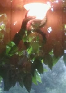 Pam Urfer Hand on Lamp